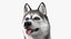 Dogs Rigged Collection 4 for Cinema 4D