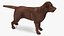 Dogs Rigged Collection 4 for Cinema 4D