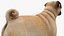 Dogs Rigged Collection 4 for Cinema 4D