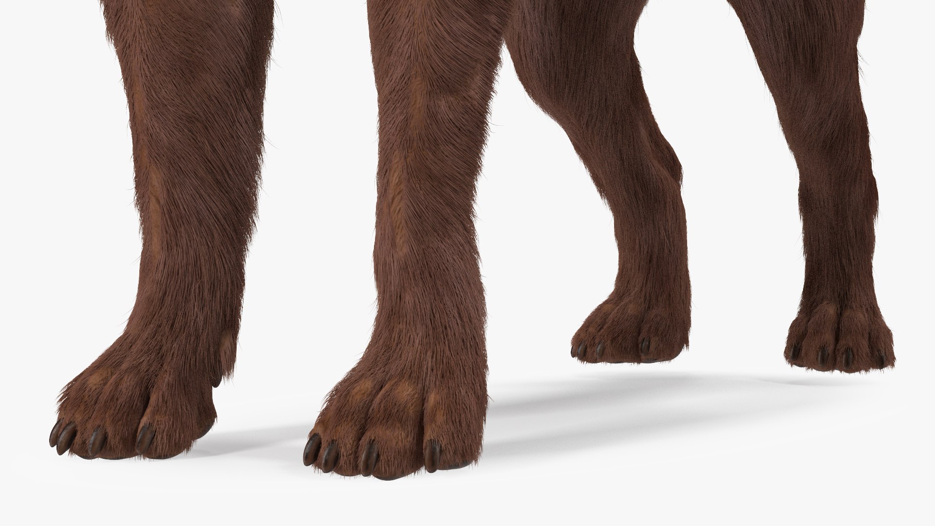 Dogs Rigged Collection 4 for Cinema 4D 3D model https://p.turbosquid.com/ts-thumb/zm/bPtWUJ/8C/dogsriggedcollection43dmodel018/jpg/1647007285/1920x1080/fit_q87/9838997ddb03044cbd91ecadd470ae944ac44c8a/dogsriggedcollection43dmodel018.jpg