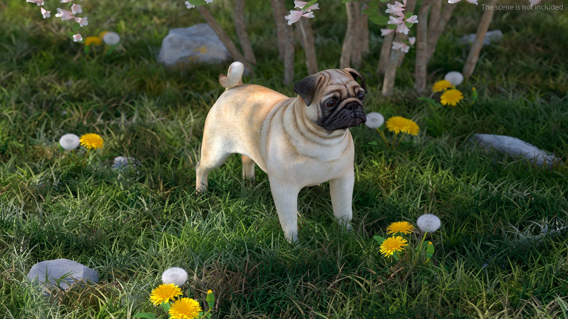 Dogs Rigged Collection 4 for Cinema 4D 3D model https://p.turbosquid.com/ts-thumb/zm/bPtWUJ/8I/dogsriggedcollection43dmodel048/jpg/1647007391/1920x1080/fit_q87/2194cf9eedbca3ebb72cf5328fbb46aa96938c97/dogsriggedcollection43dmodel048.jpg