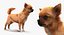 Dogs Rigged Collection 4 for Cinema 4D