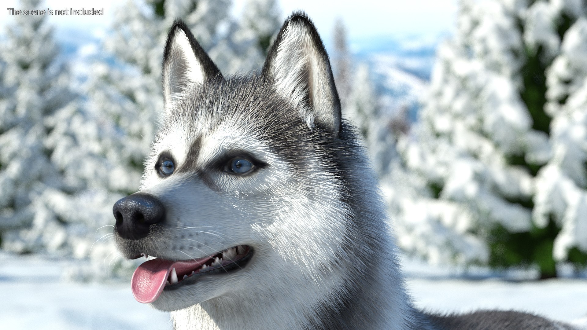 Dogs Rigged Collection 4 for Cinema 4D 3D model https://p.turbosquid.com/ts-thumb/zm/bPtWUJ/Bh/dogsriggedcollection43dmodel026/jpg/1647007309/1920x1080/fit_q87/e377a64ac3be182a373b71fd7d8ceb5749727a0e/dogsriggedcollection43dmodel026.jpg