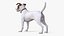 Dogs Rigged Collection 4 for Cinema 4D