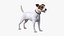 Dogs Rigged Collection 4 for Cinema 4D