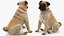 Dogs Rigged Collection 4 for Cinema 4D