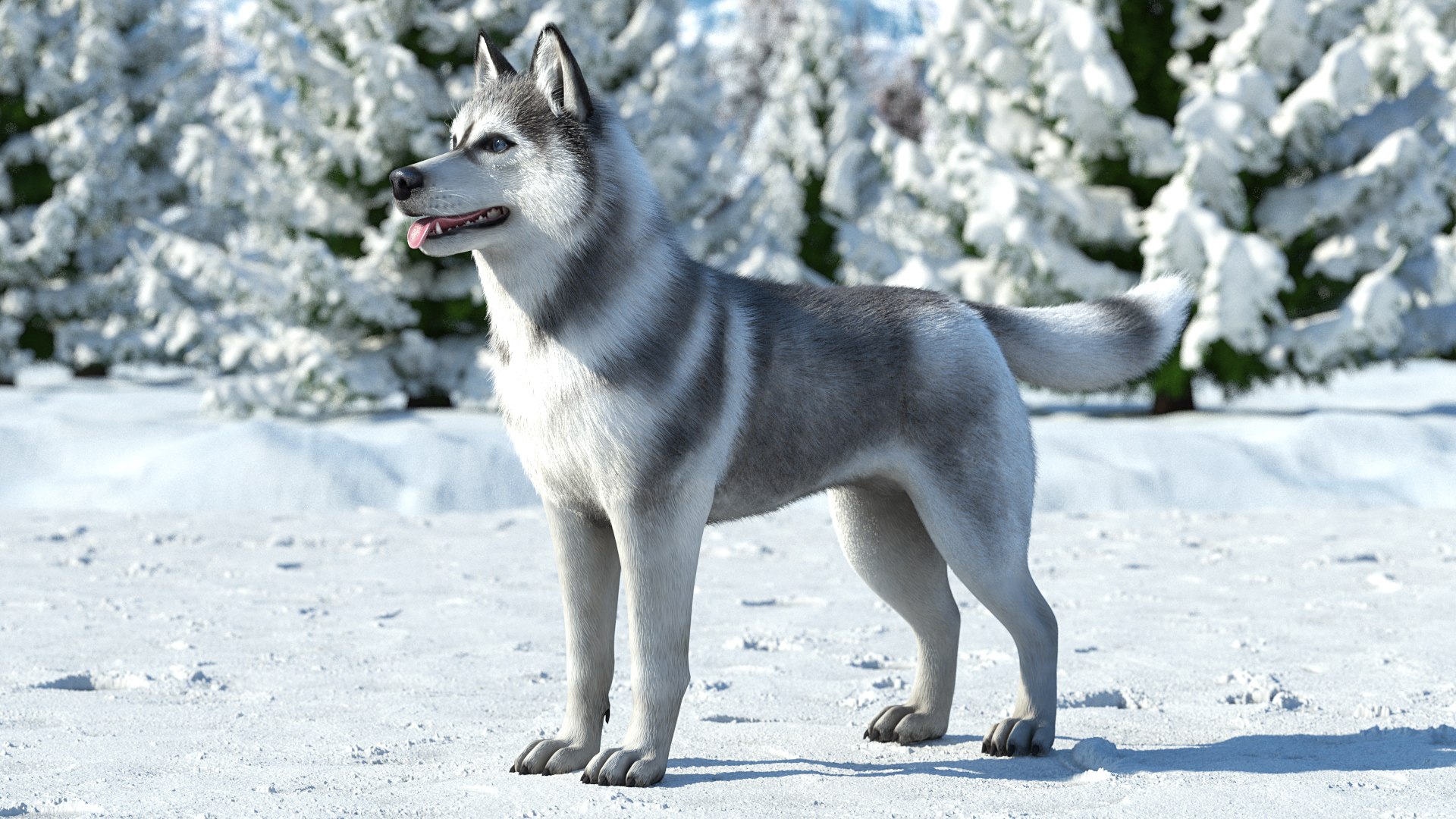 Dogs Rigged Collection 4 for Cinema 4D 3D model https://p.turbosquid.com/ts-thumb/zm/bPtWUJ/DY/dogsriggedcollection43dmodel021/jpg/1647007293/1920x1080/fit_q87/0df433d7f2a436f51b02c27471386ecbdbc232c7/dogsriggedcollection43dmodel021.jpg