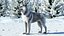 Dogs Rigged Collection 4 for Cinema 4D
