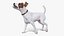 Dogs Rigged Collection 4 for Cinema 4D