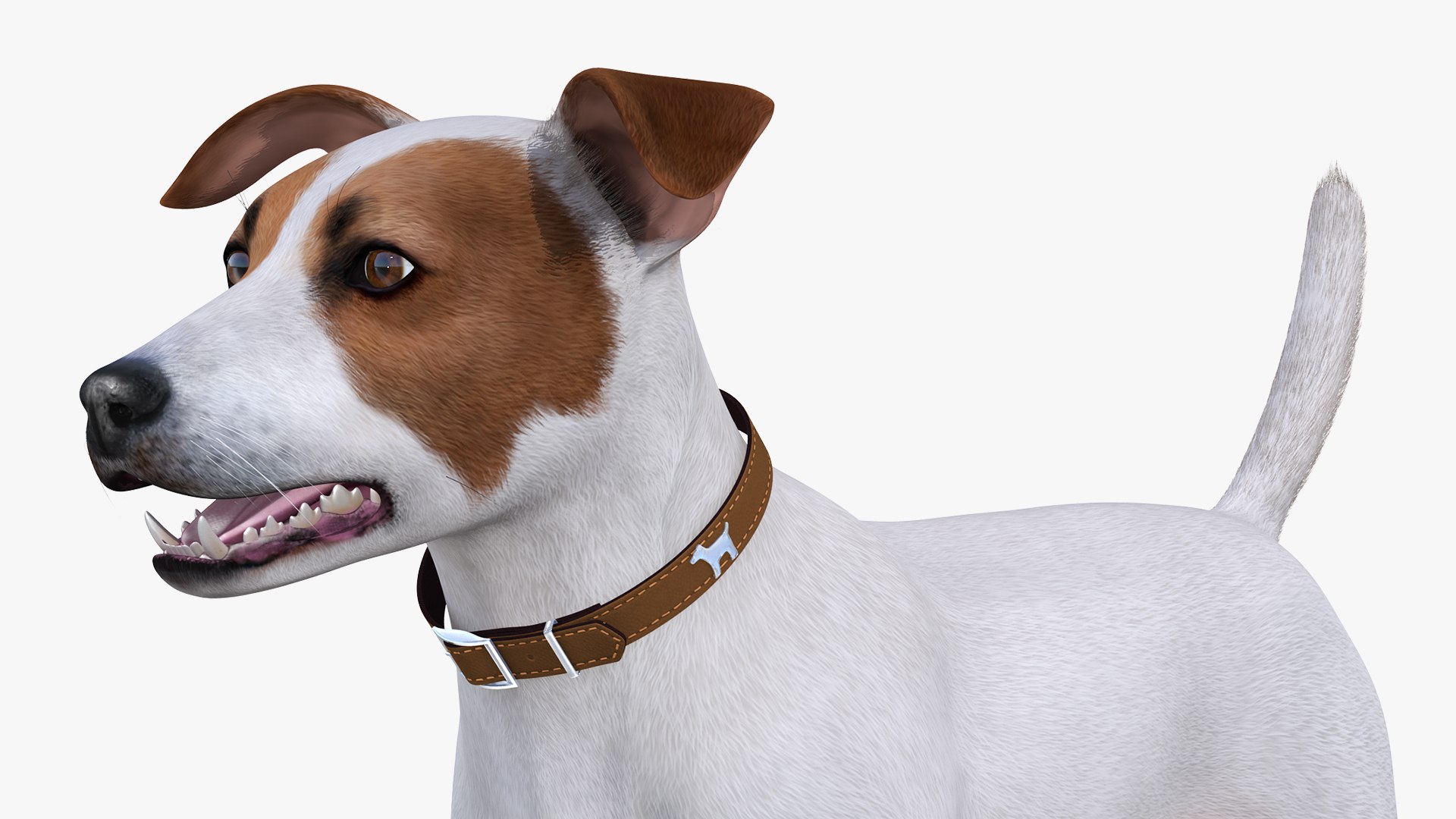 Dogs Rigged Collection 4 for Cinema 4D 3D model https://p.turbosquid.com/ts-thumb/zm/bPtWUJ/Dt/dogsriggedcollection43dmodel074/jpg/1647007479/1920x1080/fit_q87/fdb521c70f988821d6b7db5d83207cf4e3a77f67/dogsriggedcollection43dmodel074.jpg