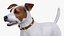 Dogs Rigged Collection 4 for Cinema 4D
