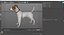 Dogs Rigged Collection 4 for Cinema 4D