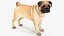 Dogs Rigged Collection 4 for Cinema 4D