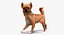 Dogs Rigged Collection 4 for Cinema 4D