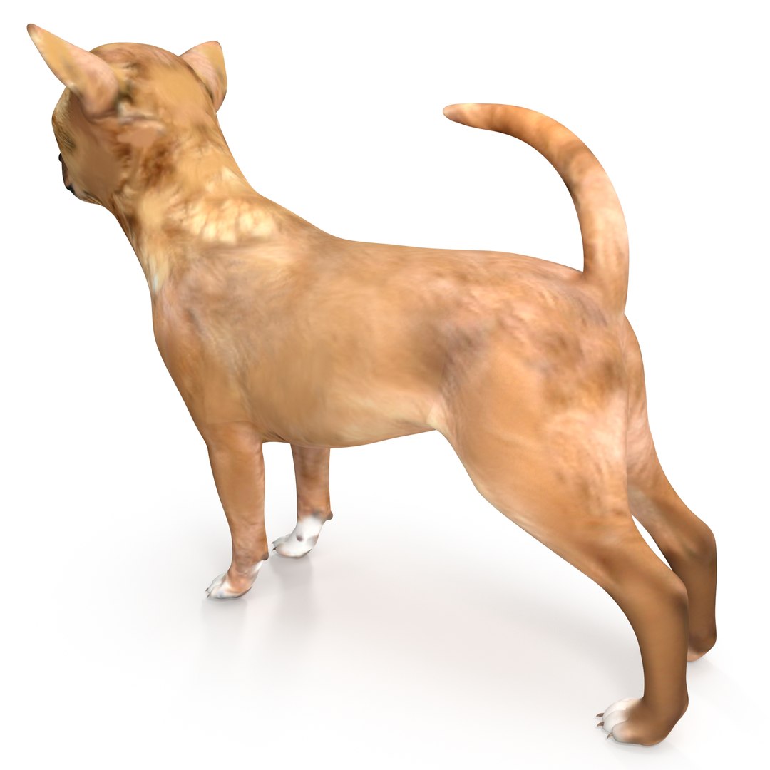 Dogs Rigged Collection 4 for Cinema 4D 3D model https://p.turbosquid.com/ts-thumb/zm/bPtWUJ/MP/dogs_rigged_collection_4_for_cinema_4d_c4d_02/jpg/1652960369/1920x1080/fit_q87/0db665759672b370256b09efd15a17c601eefb45/dogs_rigged_collection_4_for_cinema_4d_c4d_02.jpg