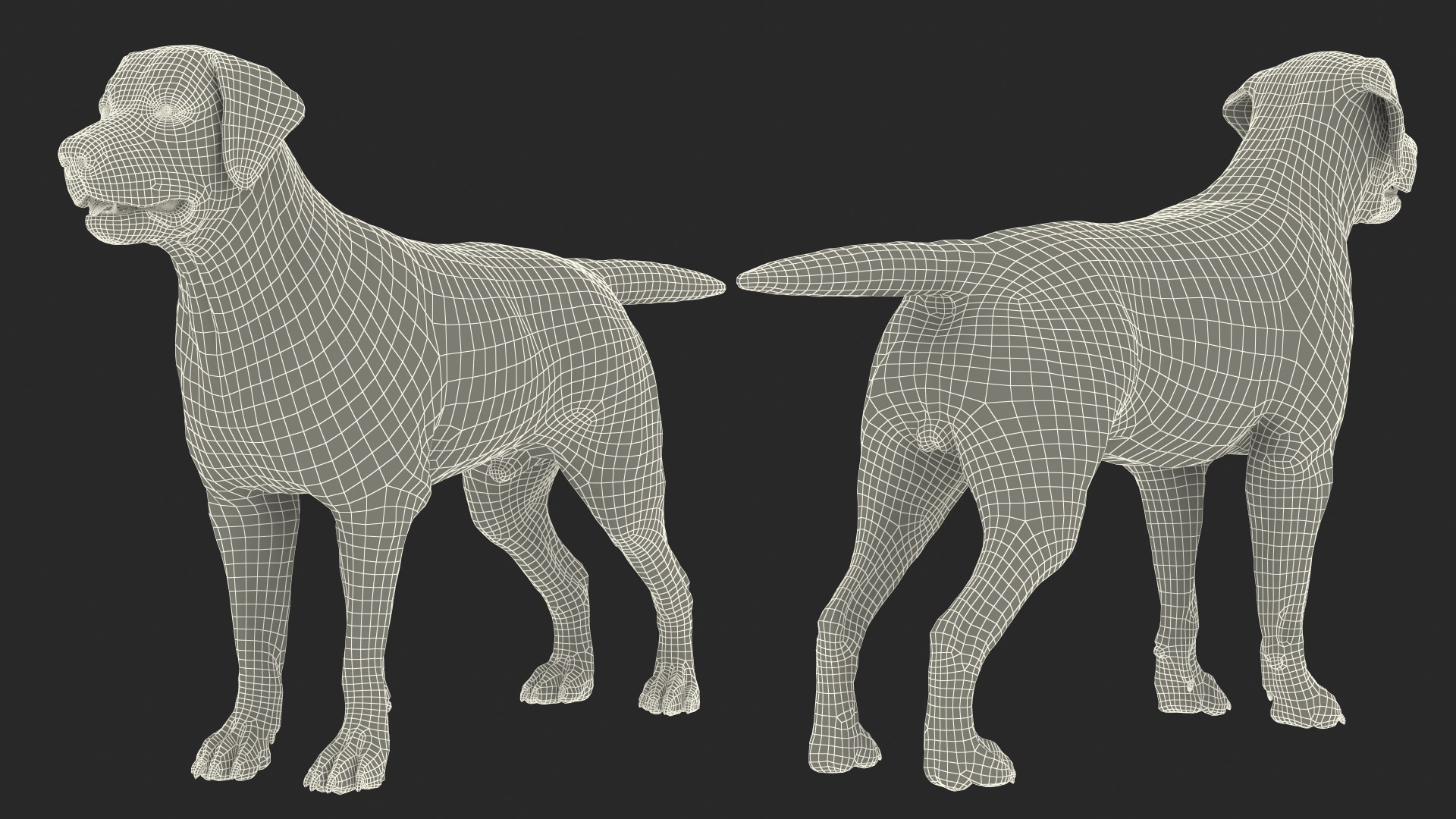 Dogs Rigged Collection 4 for Cinema 4D 3D model https://p.turbosquid.com/ts-thumb/zm/bPtWUJ/Nt/dogsriggedcollection43dmodel086/jpg/1647007518/1920x1080/fit_q87/89adc6c03edc6287486761ba3dde6668ceb02cf4/dogsriggedcollection43dmodel086.jpg