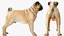 Dogs Rigged Collection 4 for Cinema 4D