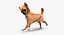 Dogs Rigged Collection 4 for Cinema 4D