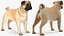 Dogs Rigged Collection 4 for Cinema 4D