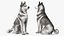 Dogs Rigged Collection 4 for Cinema 4D