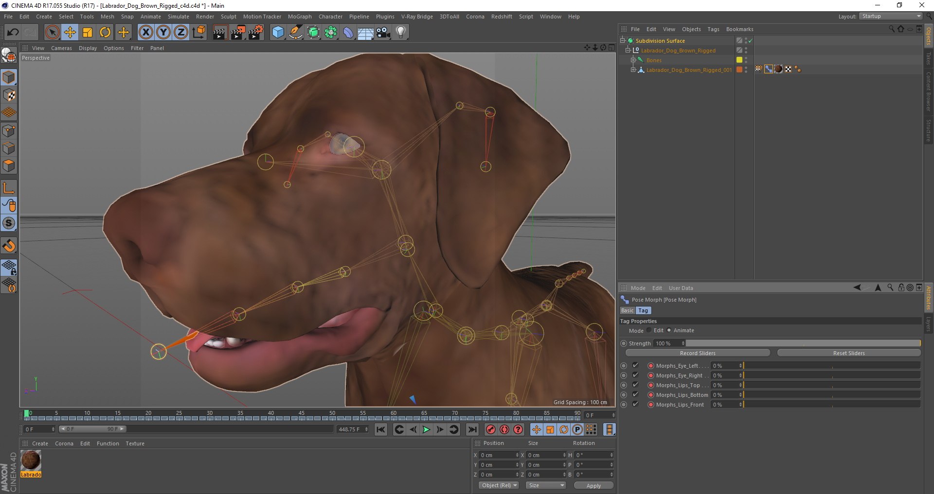 Dogs Rigged Collection 4 for Cinema 4D 3D model https://p.turbosquid.com/ts-thumb/zm/bPtWUJ/XT/dogs_rigged_collection_4_for_cinema_4d_c4d_19/jpg/1652960385/1920x1080/fit_q87/3586cae8ac03b64daf276aad168be0f95632ff2e/dogs_rigged_collection_4_for_cinema_4d_c4d_19.jpg