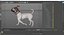 Dogs Rigged Collection 4 for Cinema 4D