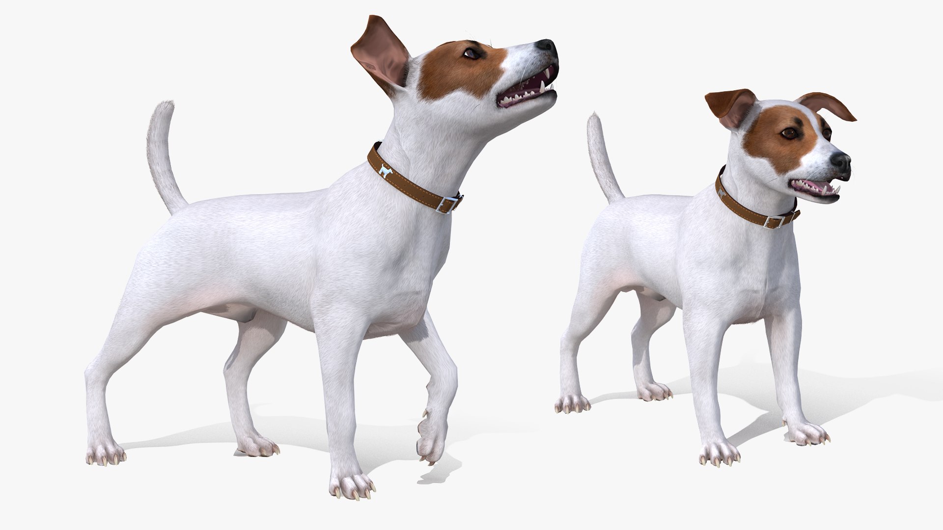 Dogs Rigged Collection 4 for Cinema 4D 3D model https://p.turbosquid.com/ts-thumb/zm/bPtWUJ/gr/dogsriggedcollection43dmodel068/jpg/1647007461/1920x1080/fit_q87/5dfd27f52c43a7b78bf6de68187785eceb1a7ae7/dogsriggedcollection43dmodel068.jpg