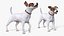 Dogs Rigged Collection 4 for Cinema 4D