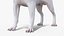 Dogs Rigged Collection 4 for Cinema 4D