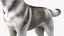 Dogs Rigged Collection 4 for Cinema 4D