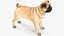 Dogs Rigged Collection 4 for Cinema 4D