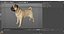 Dogs Rigged Collection 4 for Cinema 4D