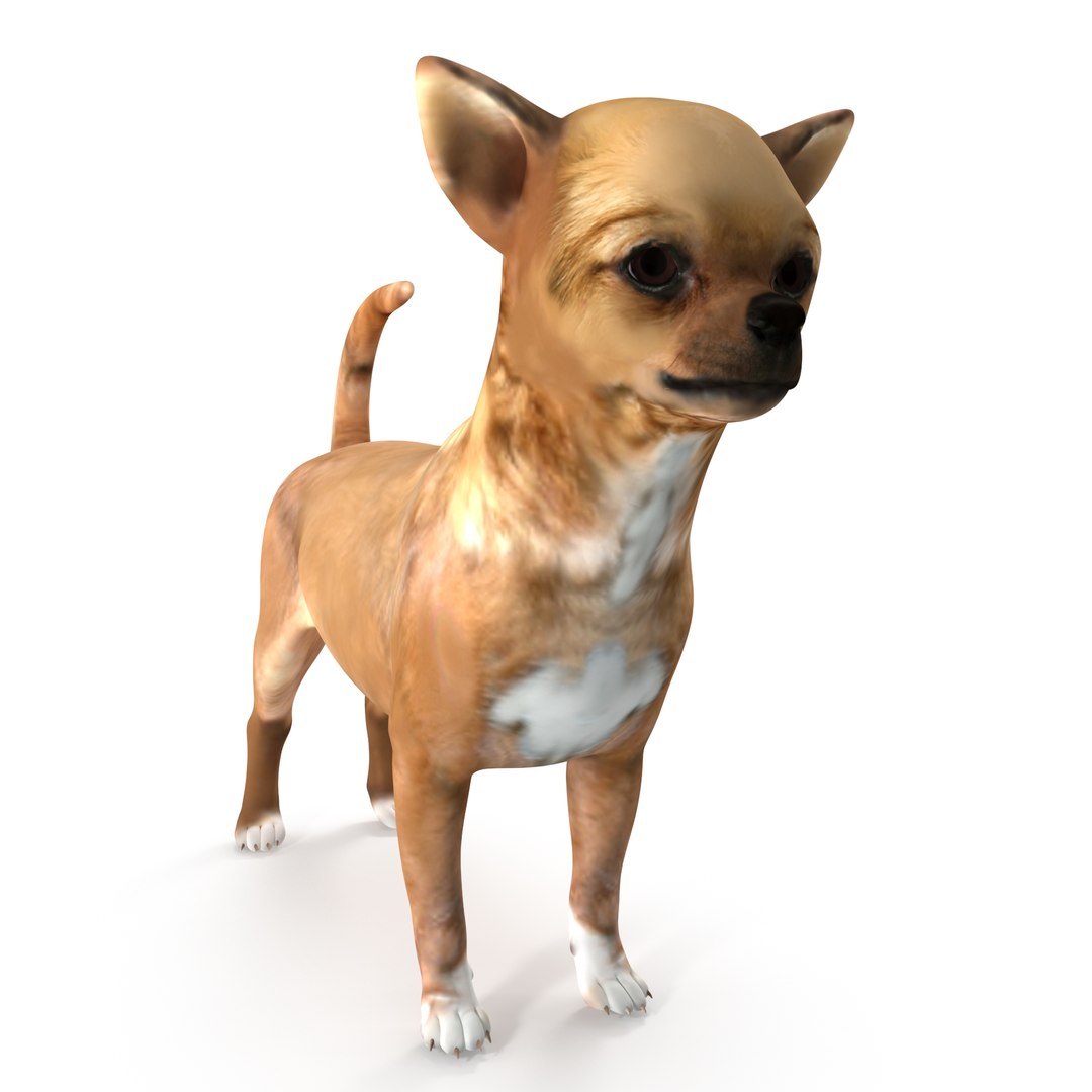 Dogs Rigged Collection 4 for Cinema 4D 3D model https://p.turbosquid.com/ts-thumb/zm/bPtWUJ/mW/dogs_rigged_collection_4_for_cinema_4d_c4d_04/jpg/1652960370/1920x1080/fit_q87/5b81730495a603c201a7ba34bc2456364bcb8fb3/dogs_rigged_collection_4_for_cinema_4d_c4d_04.jpg