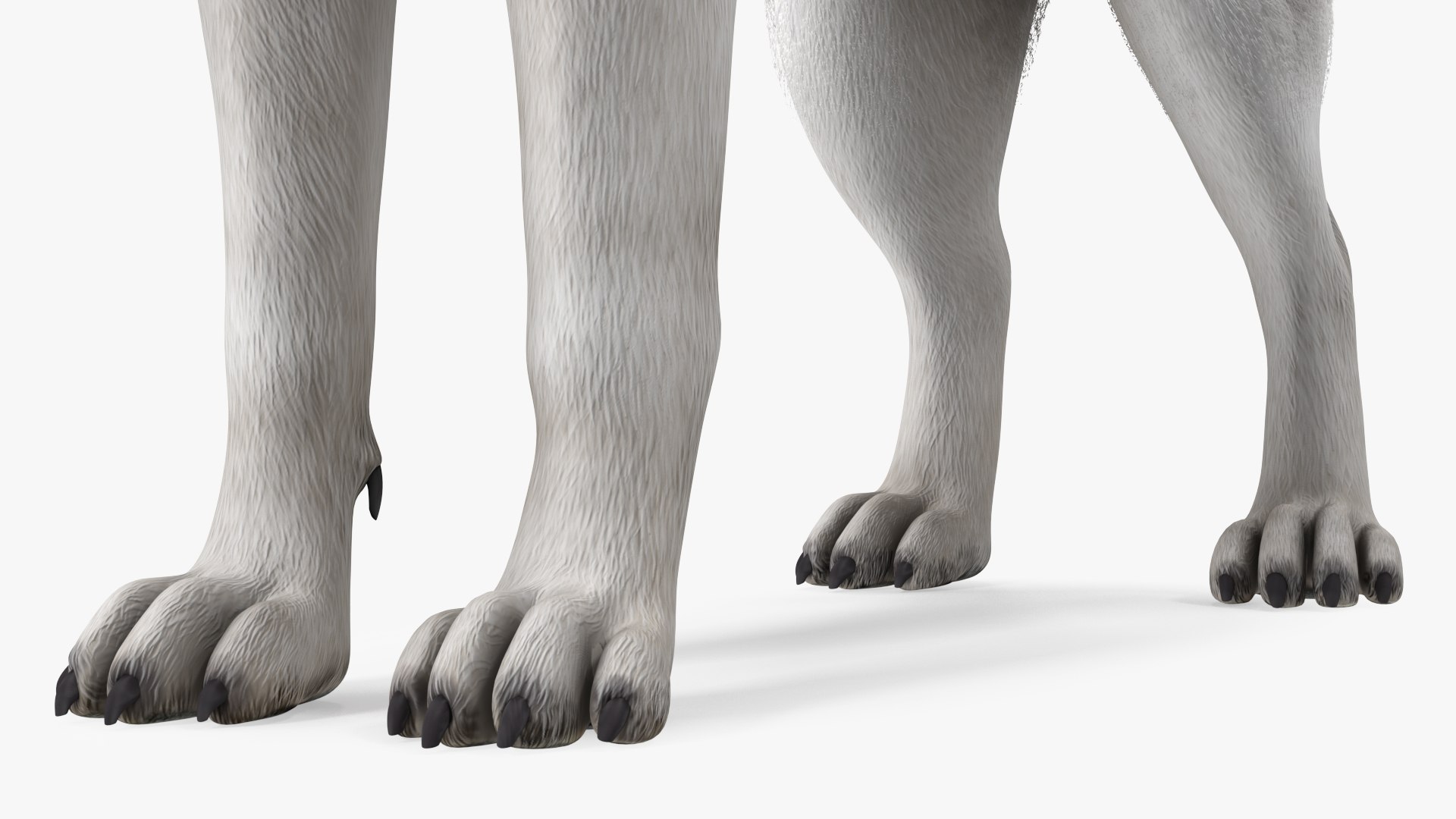 Dogs Rigged Collection 4 for Cinema 4D 3D model https://p.turbosquid.com/ts-thumb/zm/bPtWUJ/p0/dogsriggedcollection43dmodel041/jpg/1647007356/1920x1080/fit_q87/1b28f1b2ce5d3945f8e657df55bf820297eaa104/dogsriggedcollection43dmodel041.jpg