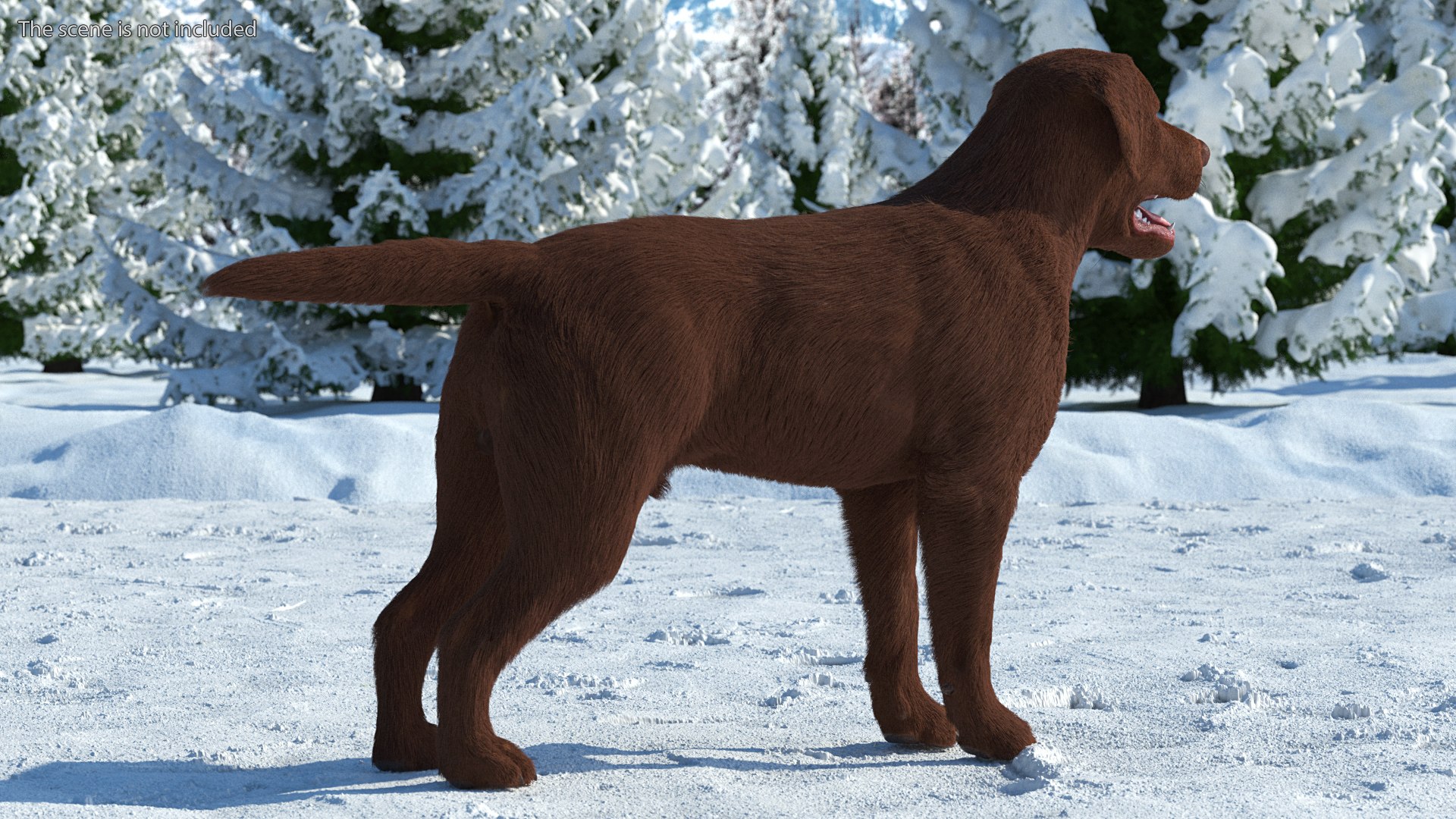 Dogs Rigged Collection 4 for Cinema 4D 3D model https://p.turbosquid.com/ts-thumb/zm/bPtWUJ/pv/dogsriggedcollection43dmodel004/jpg/1647007235/1920x1080/fit_q87/c82c22e641ef808017b18c70a858d2bb75a452f8/dogsriggedcollection43dmodel004.jpg