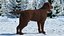 Dogs Rigged Collection 4 for Cinema 4D
