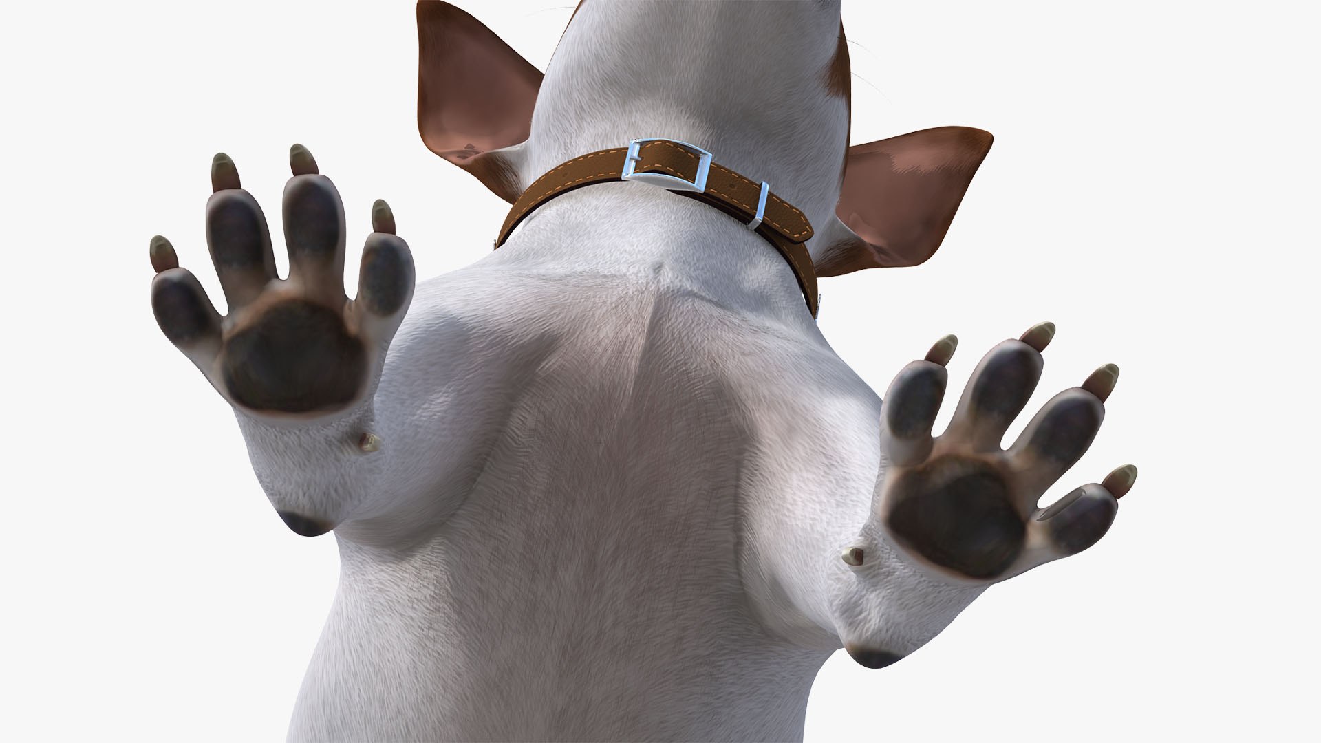 Dogs Rigged Collection 4 for Cinema 4D 3D model https://p.turbosquid.com/ts-thumb/zm/bPtWUJ/th/dogsriggedcollection43dmodel075/jpg/1647007482/1920x1080/fit_q87/c4a33159bf8d5824df318c35fd8ea4f5cba84da0/dogsriggedcollection43dmodel075.jpg
