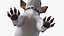 Dogs Rigged Collection 4 for Cinema 4D