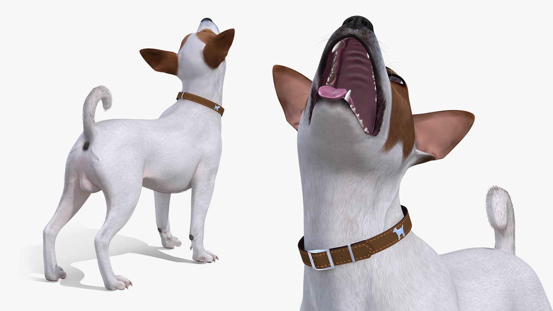 Dogs Rigged Collection 4 for Cinema 4D 3D model https://p.turbosquid.com/ts-thumb/zm/bPtWUJ/uf/dogsriggedcollection43dmodel073/jpg/1647007476/1920x1080/fit_q87/982b31213de0761686d471013d450fada27d66d1/dogsriggedcollection43dmodel073.jpg