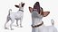Dogs Rigged Collection 4 for Cinema 4D