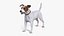 Dogs Rigged Collection 4 for Cinema 4D