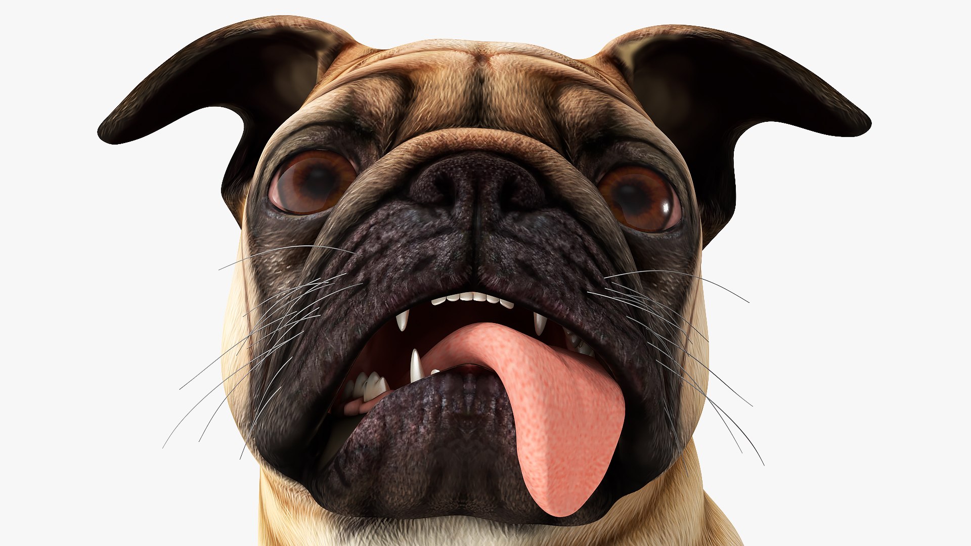 Dogs Rigged Collection 4 for Cinema 4D 3D model https://p.turbosquid.com/ts-thumb/zm/bPtWUJ/ul/dogsriggedcollection43dmodel059/jpg/1647007429/1920x1080/fit_q87/28ebd354326c8c17f82fb7d37fc06f16a2d46078/dogsriggedcollection43dmodel059.jpg