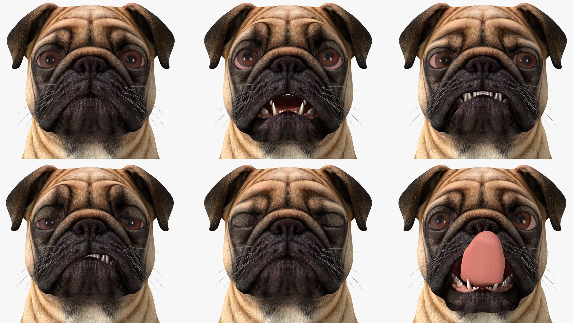 Dogs Rigged Collection 4 for Cinema 4D 3D model https://p.turbosquid.com/ts-thumb/zm/bPtWUJ/vD/dogsriggedcollection43dmodel060/jpg/1647007432/1920x1080/fit_q87/27fc6b87597f355339bed8fcd175d1edfff3ec08/dogsriggedcollection43dmodel060.jpg
