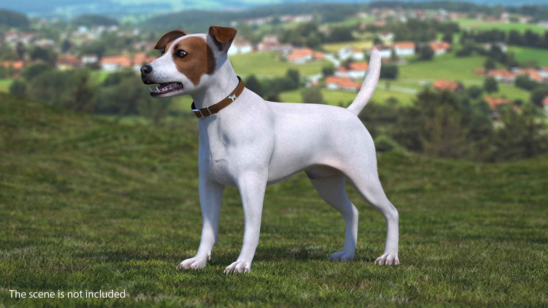 Dogs Rigged Collection 4 for Cinema 4D 3D model https://p.turbosquid.com/ts-thumb/zm/bPtWUJ/wU/dogsriggedcollection43dmodel065/jpg/1647007451/1920x1080/fit_q87/79f3aacbf270ddd482775edbdc124131910ba000/dogsriggedcollection43dmodel065.jpg