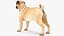 Dogs Rigged Collection 4 for Cinema 4D