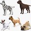 Dogs Rigged Collection 4 for Cinema 4D