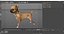 Dogs Rigged Collection 4 for Cinema 4D