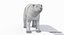 Ours polaire (animé)
