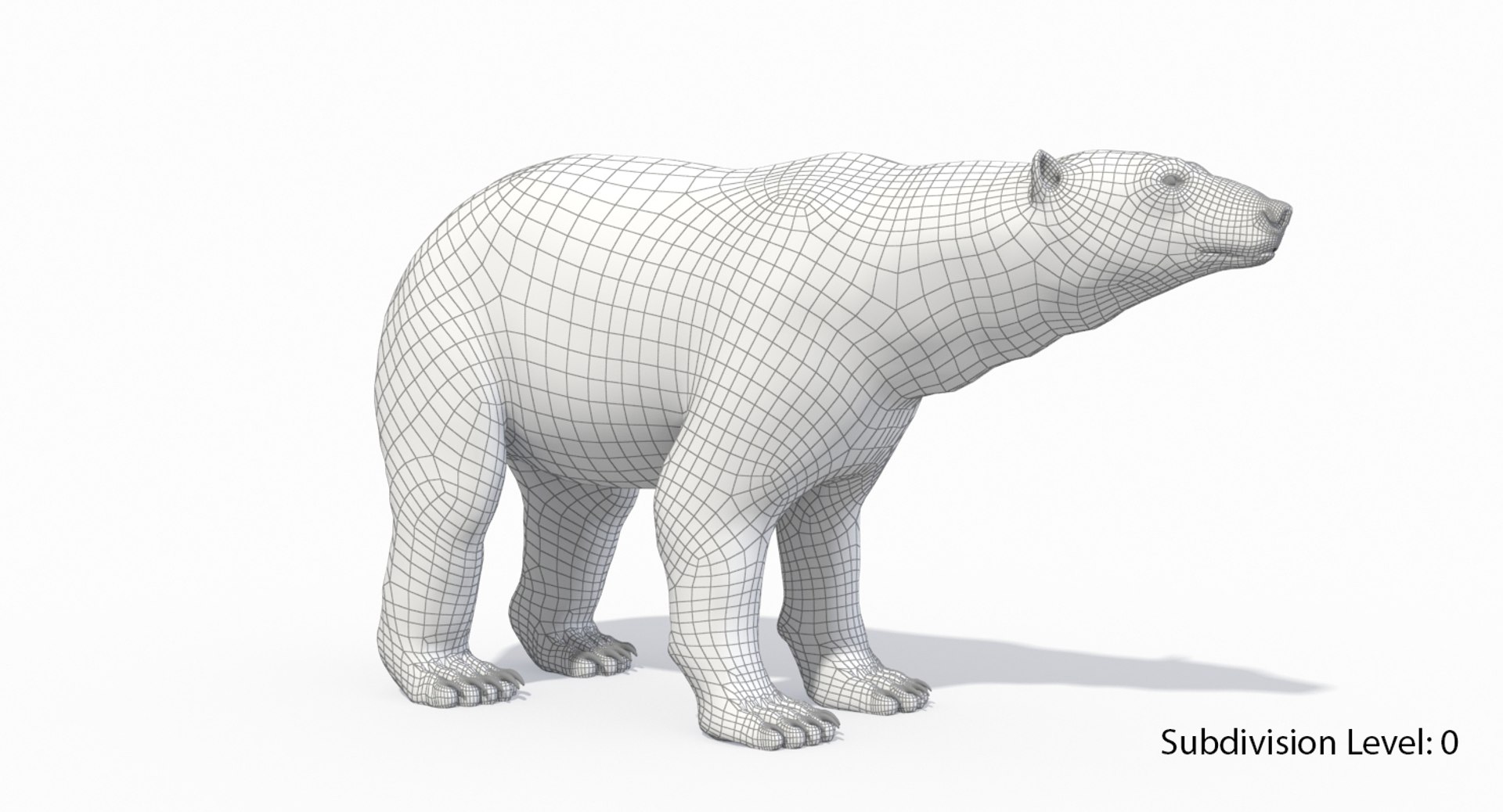 polar bear animation model https://p.turbosquid.com/ts-thumb/zm/nRhFAV/5XHarpjL/9/jpg/1538333612/1920x1080/fit_q87/2a4565d692f8ae7063086ea2f263b841a2e89015/9.jpg