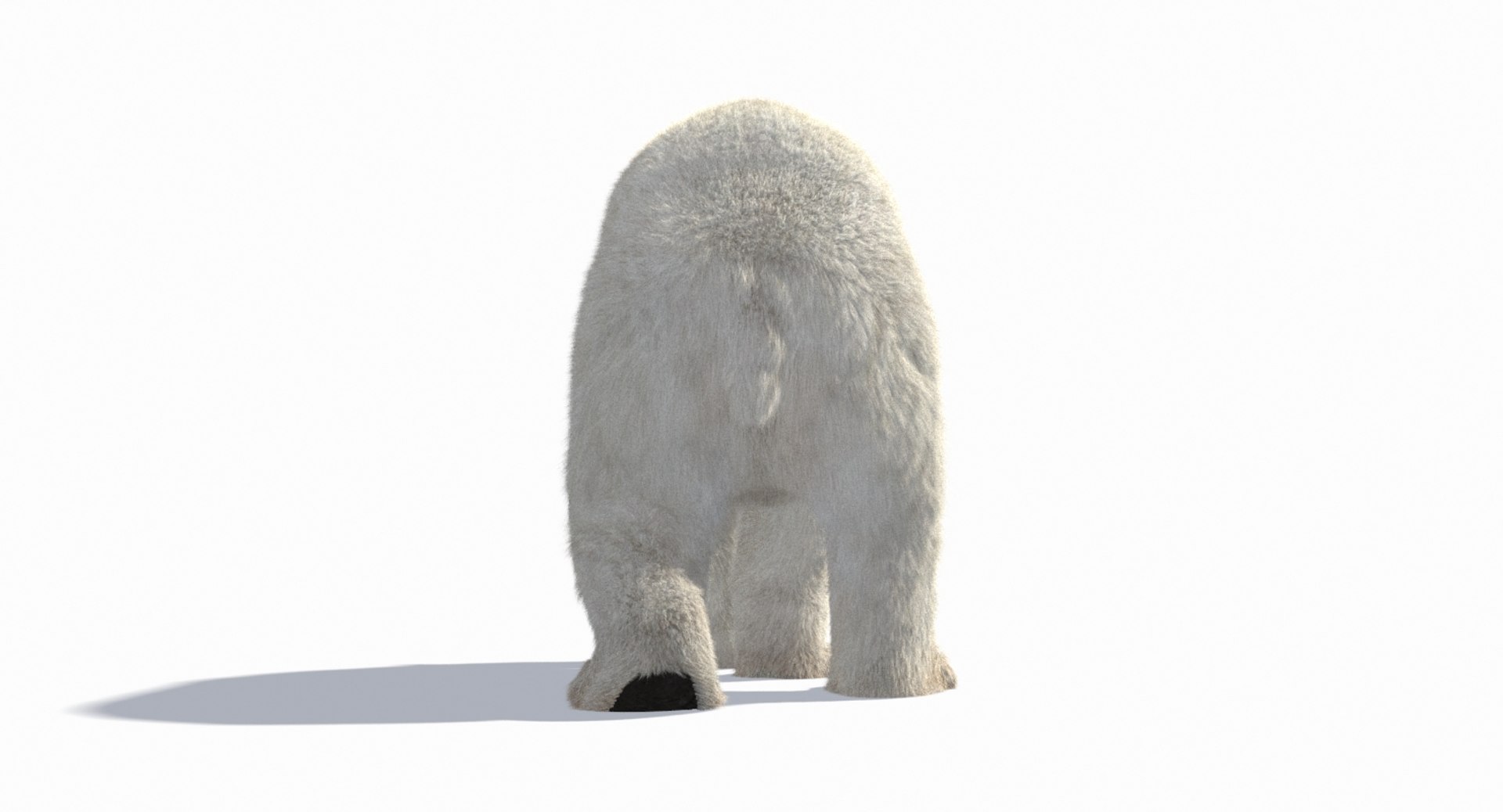 polar bear animation model https://p.turbosquid.com/ts-thumb/zm/nRhFAV/cCPqhxc4/cam_9/jpg/1538333612/1920x1080/fit_q87/2aa8e8cbcb5a6cf601f906ef2b63693fccff9737/cam_9.jpg